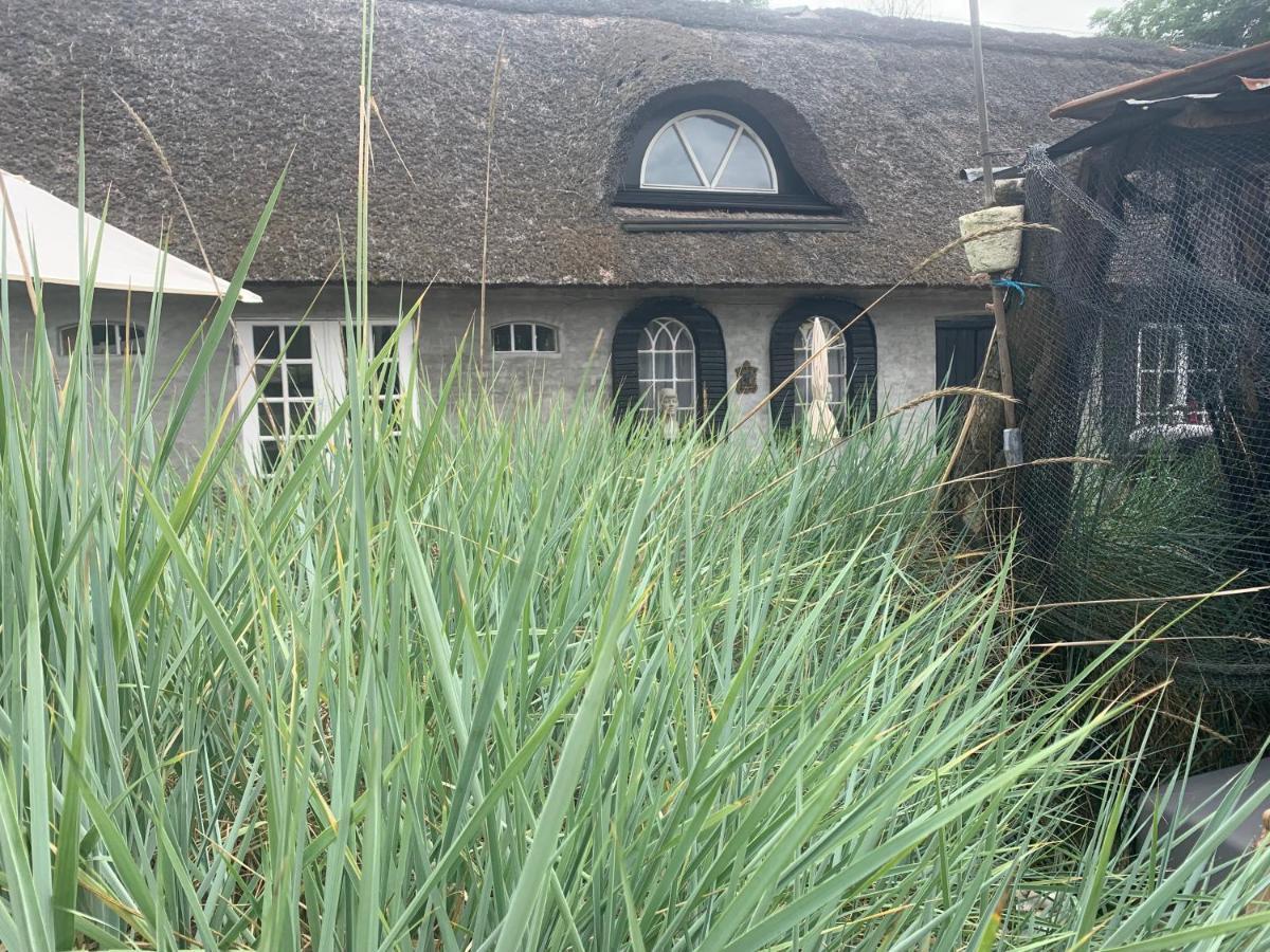 Farm61 Badehotellet I Det Midtjydske - Alder +18 Ar Tjele المظهر الخارجي الصورة