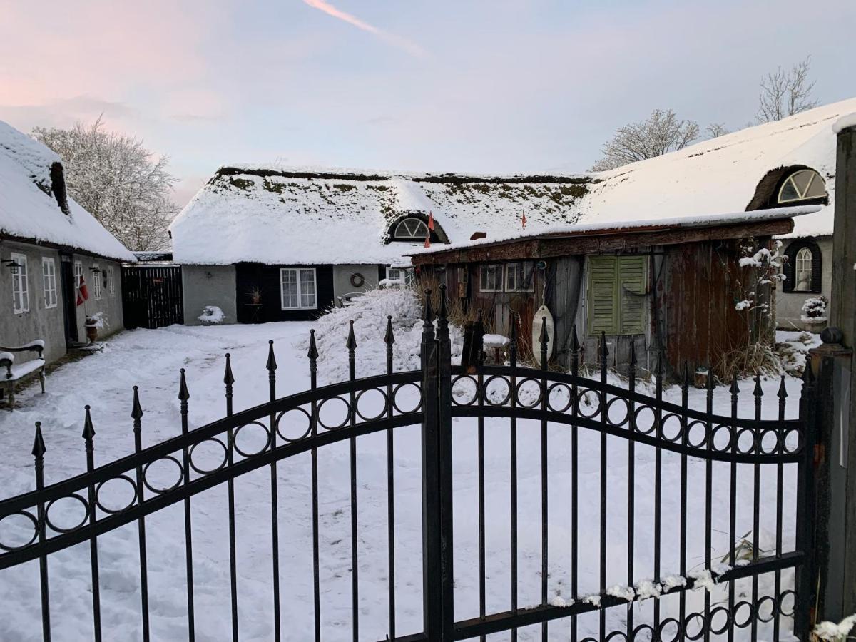 Farm61 Badehotellet I Det Midtjydske - Alder +18 Ar Tjele المظهر الخارجي الصورة